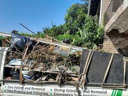 Best Yard Waste Removal  in Thermopolis, WY